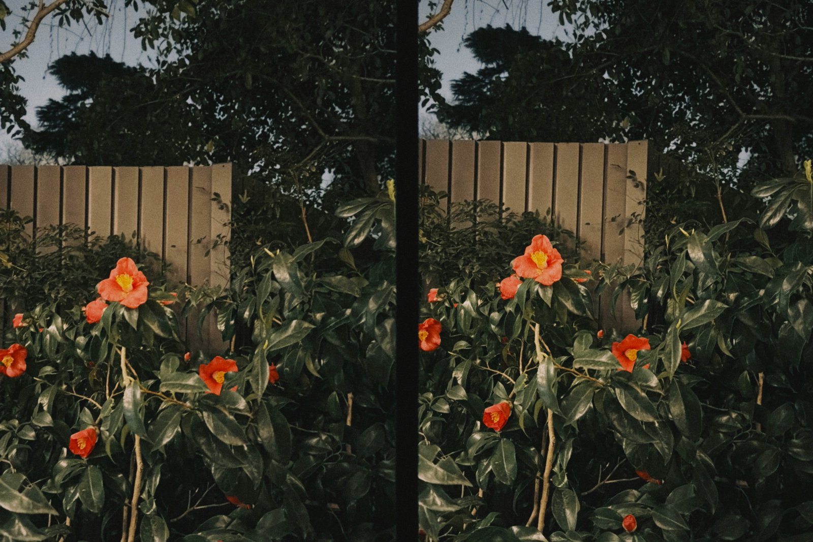 How AI Background Removal Works A Complete Guide for 2026 – BG Erasers